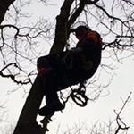 Aaron Cantwell - @elovicende - Instagram