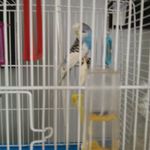 Aaroncapener - @aaroncapener4563 - Instagram