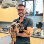 Aaron Caplan - @dr.aaroncaplan - Instagram