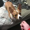 aaron.cards - @aaron.cards - TikTok