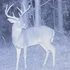 Aaron Cargile - @aaron.cargile - TikTok