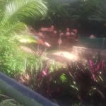 Aaron Carrera - @aaron.carrera.779 - Instagram