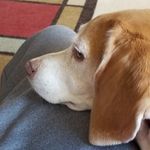 Aaron Casebolt - @aaroncasebolt - Instagram
