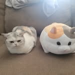 Aaron Chaisson - @chaisson.aaron - Instagram