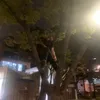 Aaron Choi - @aaron_choi321 - TikTok