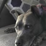 Aaron Chappell - @chappell_show23 - Instagram