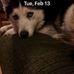 Aaron D Chartier - Facebook