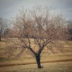 Aaron Childress - @aaronchildressphotography - Instagram