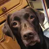 aaron.chinn - @aaron.chinn - TikTok