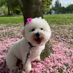 Aaron Choi - @aaron_choi16 - Instagram