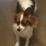Aaron Choi - @_aaronchoi - Instagram