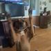 Aaron Clemons - Facebook