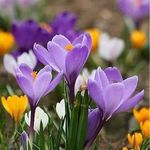 Mark Aaron Clemons - @aaronclemons34 - Instagram