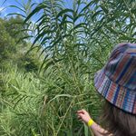 Aaron - @_aaroncliff_ - Instagram