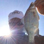 Aaron Colby Cluck - @acolbyc - Instagram