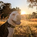 Aaron Coad - @acoad_4 - Instagram