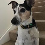 AaronandMandy Coburn - @coburnaaronandmandy - Instagram