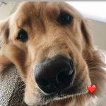Áaron - @aaron_cocker22 - Instagram