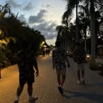 Aaron Coelho - @aaronjcoelho - Instagram