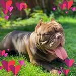 Aaron Coffie - @aaroncoffieax61 - Instagram