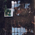 Aaron Cohan - @aaron_cohan - Instagram
