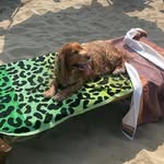 Aaron Coker - @aaron_end_aaron - Instagram