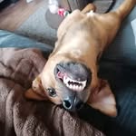 Aaron Colin - @aaroncolin48 - Instagram