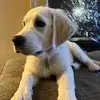 aaron_coll273 - @aaron_coll273 - TikTok
