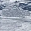 aaroncollett79 - @aaroncollett79 - TikTok