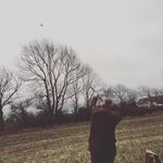aaron colley - @gingercolley - Instagram