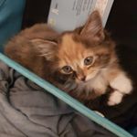 Aaron Colley - @aaron.colley.359 - Instagram