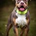 Aaron Collier - Facebook
