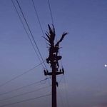 Aaron colson - @aaronpeep133 - Instagram