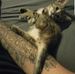 Aaron Colyer - Facebook
