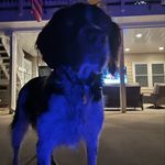 Aaron Comer - @therealaaroncomer - Instagram