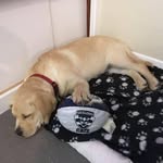 Aaron Commons - @commo76 - Instagram
