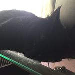 Aaron Compton - @compton_from_compton - Instagram