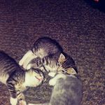 aaron Jonh conaway - @aaronjon5 - Instagram