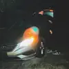aaron - @aaron.conner - TikTok