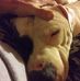 Aaron Conner - Facebook