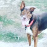 Aaron Conover - @aaron.conover - Instagram