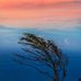 Aaron Constantine - Facebook