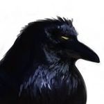 Aaron Conti - @aarondconti - Instagram