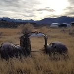 Aaron Coogan - @aaron.coogan.3 - Instagram