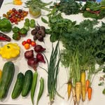 Aaron Sticht - @aaron.cooks.a.lot - Instagram