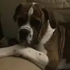 Aaroncooley24 - @lisa.andy.khoda2 - TikTok