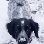 AaronCopsey - @aaron_.copsey - Instagram
