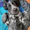 aaron.copsey - @aaron.copsey - TikTok