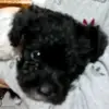 Aaron Cordero669 - @aaroncordero669 - TikTok