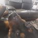 Aaron Cordle - Facebook